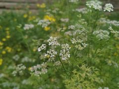 -驿舍·民國老营房院子私房菜(科学会堂店)