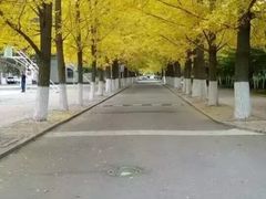 -辽东学院(南校区)