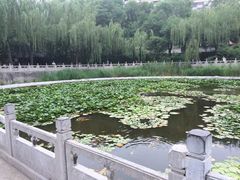 -文瀛公园
