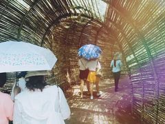 -北海金海湾红树林生态旅游区