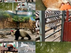 -泉州海丝野生动物世界