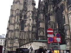 -斯蒂芬主教座堂(Stephansdom)