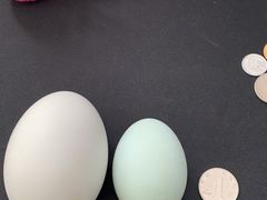 -瑞幸咖啡(苏河1号店)