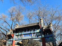 -北京国子监胡同