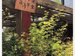 -菩提书坊(侨福大厦店)