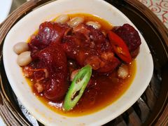 -荔枝苑养生餐厅(尊尚领地店)
