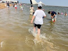 -碧海金沙