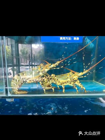 家人们，我必须曝光这家海鲜火锅 店，真的太好吃了！