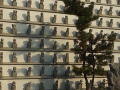 -观唐（国际）度假村温泉