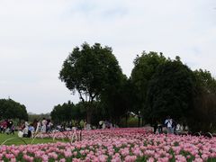 -院士公园