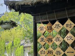 -上海醉白池公园