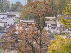 -塔川景区