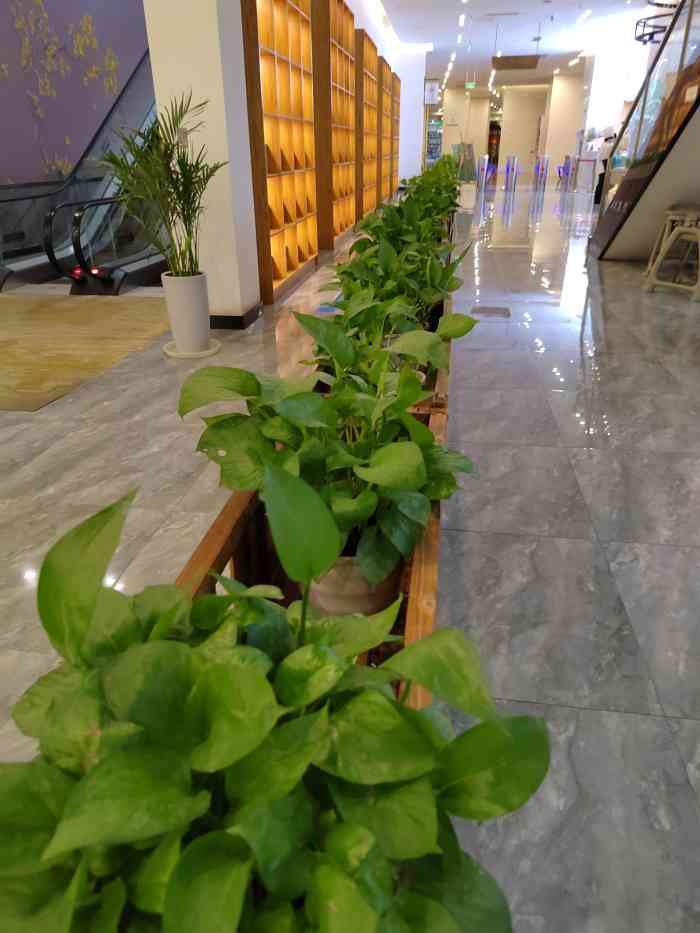 尚公馆·水韵-"喜欢桑拿的我.打卡了很多家.这家自助餐还.