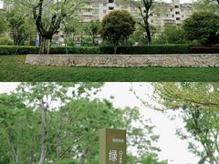 -光明港公园