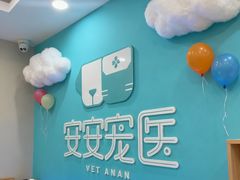 -安安宠医宠物医院·异宠·犬猫内科(岳阳分院)