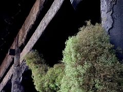 -嵩祝寺及智珠寺