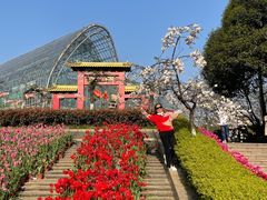 -南山植物园