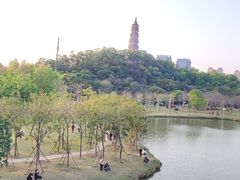 -顺峰山公园