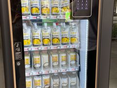 -德禄酸奶(莫家街店)