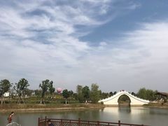 -金卉庄园