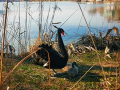 -长兴太湖图影湿地文化园