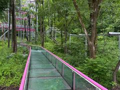 -帽儿山风景区
