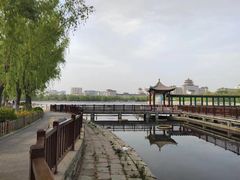 -莲花池公园