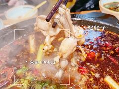 -费明中罗非鱼(大石坝店)