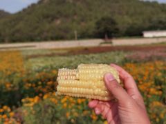 -蟠龙山长城景区