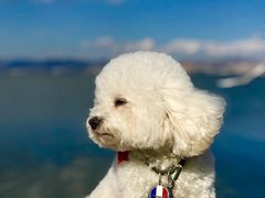 -洱海月湿地公园