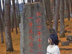 -硗碛藏寨·神木垒景区