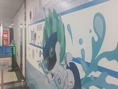 -北京科技大学-游泳馆