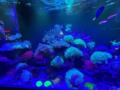 -海合安成都极地海洋公园