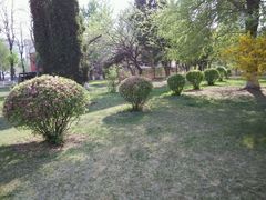 android_upload_pic-辽宁大学(崇山校区)