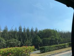 -宝安西湾红树林湿地公园