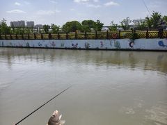 -菊园百果园