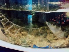 -海天盛宴新派海鲜自助餐厅(群力店)