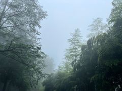-莫干山风景区