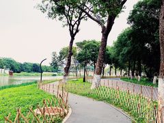 -海珠湖公园