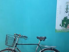 -荒岛实景沉浸密室(江汉路1店)