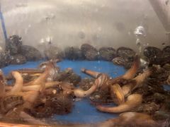 -质烤烤物·活烤海鲜(质烤总店)