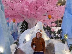 -湘江欢乐城欢乐雪域