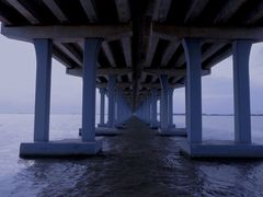 -宝安西湾红树林湿地公园