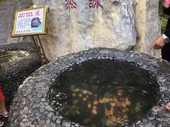 -金孔雀温泉旅游度假村