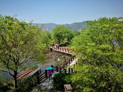 -长兴太湖图影湿地文化园