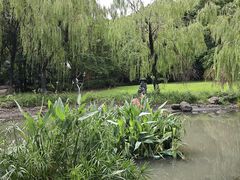 -苏州河梦清园环保主题公园