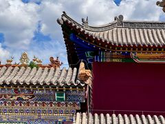 -大召无量寺