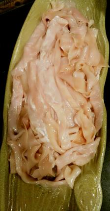 "-大众点评移动版