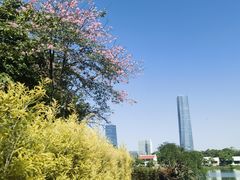 -厦门园林博览苑