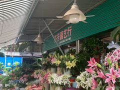 -曲阳花鸟市场(曲阳路店)